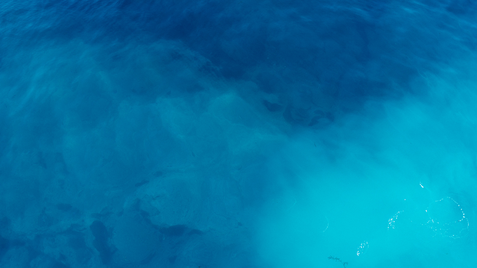 首度愛(ài)尚北美