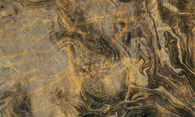 大家買什么品牌瓷磚