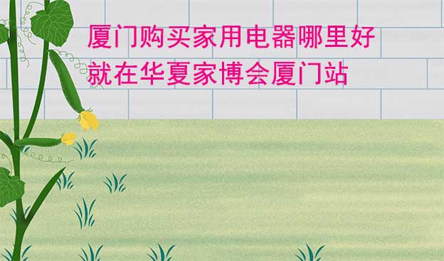 廈門購買家用電器哪里好_就在華夏家博會(huì)廈門站